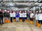 Asosiasi Pedagang Daging Indonesia Apdi Asosiasi Pedagang Daging Indonesia Apdi